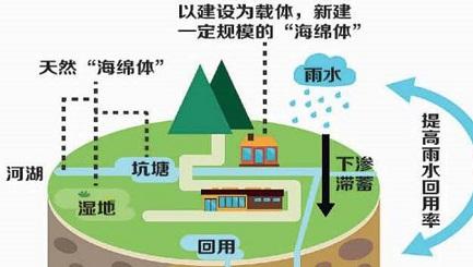 【雨水處理】：海綿城市建設之雨水收集利用